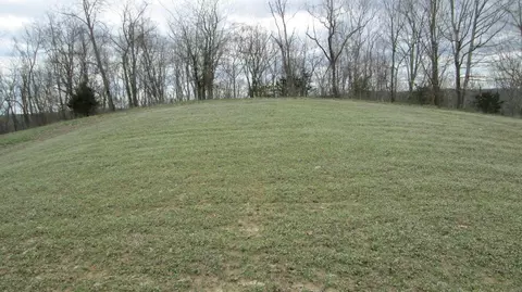 1654 Mexico Rd, Ewing, KY 41039 photo 26