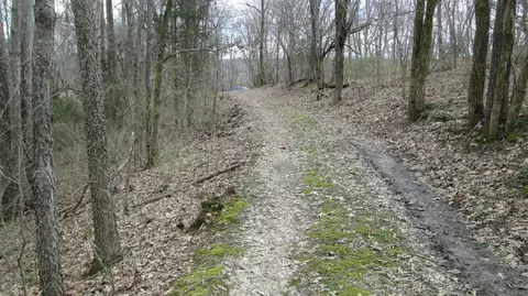 1654 Mexico Rd, Ewing, KY 41039 photo 7
