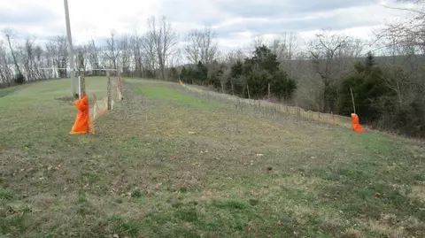 1654 Mexico Rd, Ewing, KY 41039 photo 24