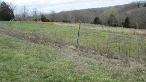 1654 Mexico Rd, Ewing, KY 41039 photo 17