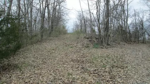 1654 Mexico Rd, Ewing, KY 41039 photo 28