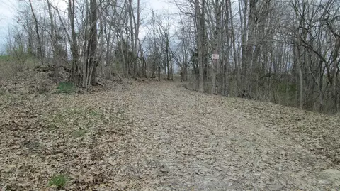 1654 Mexico Rd, Ewing, KY 41039 photo 29