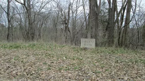 1654 Mexico Rd, Ewing, KY 41039 photo 30
