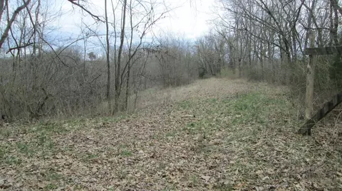1654 Mexico Rd, Ewing, KY 41039 photo 31