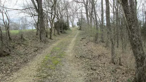 1654 Mexico Rd, Ewing, KY 41039 photo 27