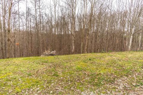 1016 Azbill, Mckee, KY 40447 photo 2