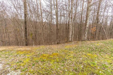 1016 Azbill, Mckee, KY 40447 photo 4