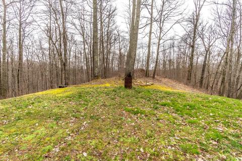 1016 Azbill, Mckee, KY 40447 photo 15