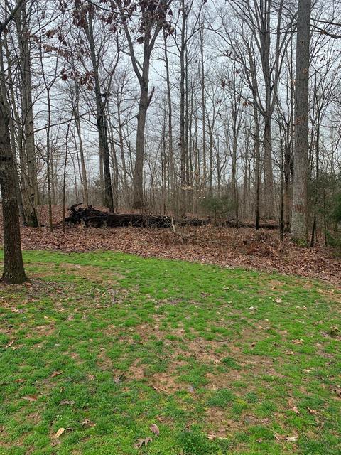 359 Lake Cliff Dr, Somerset, KY 42503 photo 2