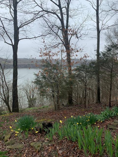 359 Lake Cliff Dr, Somerset, KY 42503 photo 12