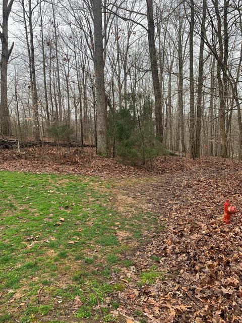 359 Lake Cliff Dr, Somerset, KY 42503 photo 1