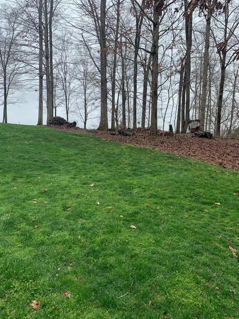 359 Lake Cliff Dr, Somerset, KY 42503 photo 3