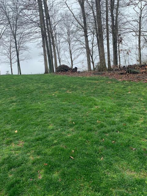 359 Lake Cliff Dr, Somerset, KY 42503 photo 4