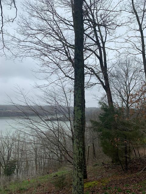 359 Lake Cliff Dr, Somerset, KY 42503 photo 7