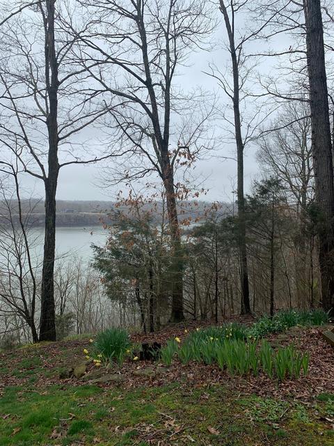359 Lake Cliff Dr, Somerset, KY 42503 photo 6