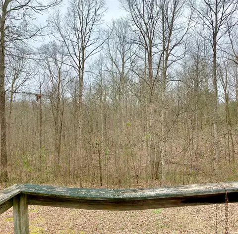 535 Doe Run, Nancy, KY 42544 photo 19