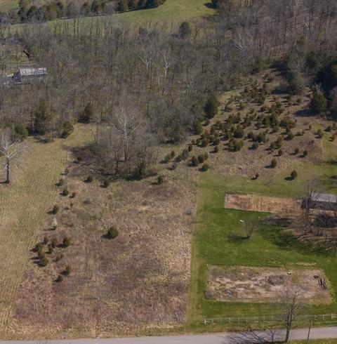 6559 Muddy Ford Rd, Georgetown, KY 40324 photo 3