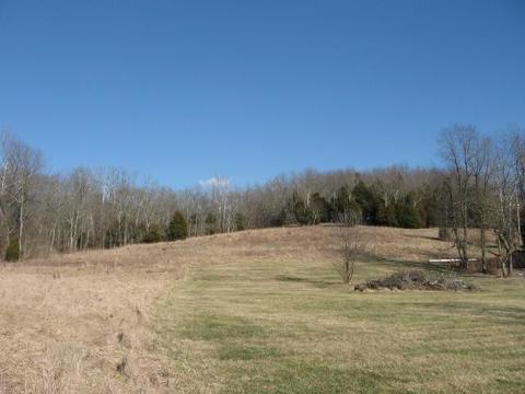 6559 Muddy Ford Rd, Georgetown, KY 40324 photo 2