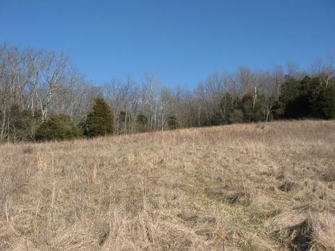 6559 Muddy Ford Rd, Georgetown, KY 40324 photo 7
