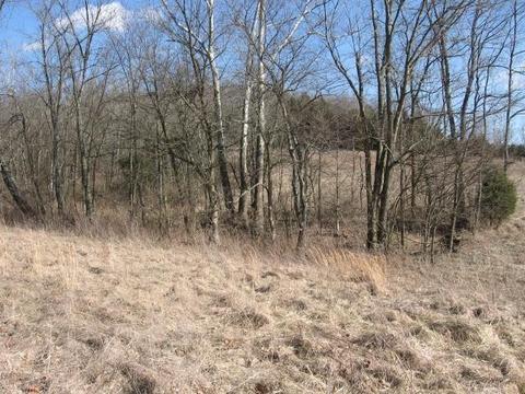 6559 Muddy Ford Rd, Georgetown, KY 40324 photo 5