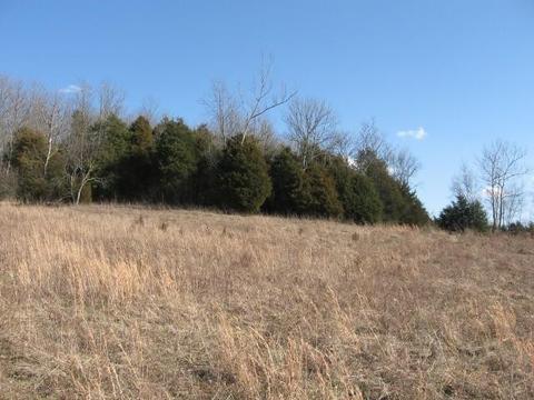 6559 Muddy Ford Rd, Georgetown, KY 40324 photo 6