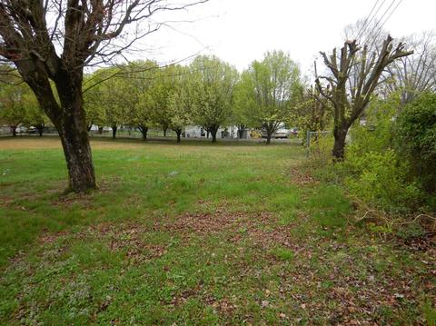 85 Florida Ave, Corbin, KY 40701 photo 4