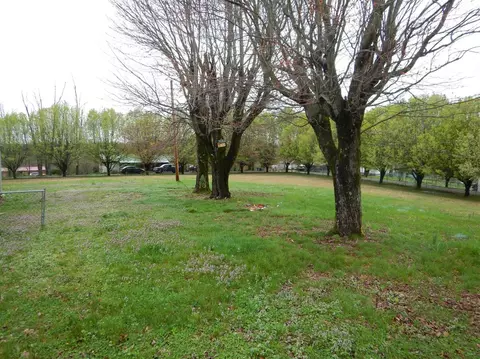 85 Florida Ave, Corbin, KY 40701 photo 3