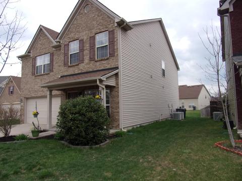 577 Bulrush Trce, Lexington, KY 40509 photo 3