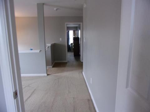577 Bulrush Trce, Lexington, KY 40509 photo 17
