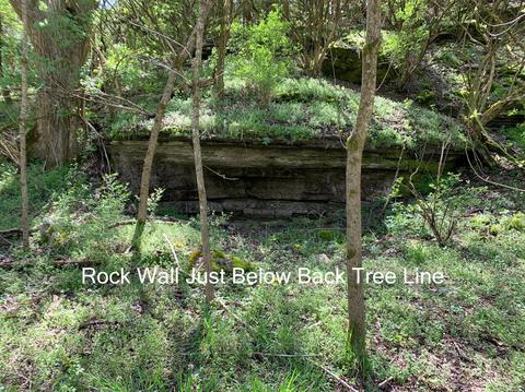 1100 Grows Mill Rd, Wilmore, KY 40390 photo 32