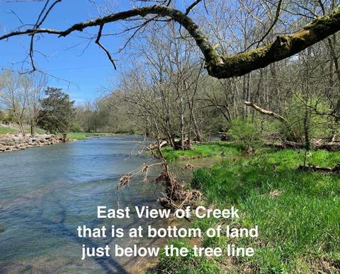 1100 Grows Mill Rd, Wilmore, KY 40390 photo 34