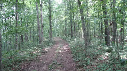 3960 Leger Fork Rd, Tyner, KY 40486 photo 59