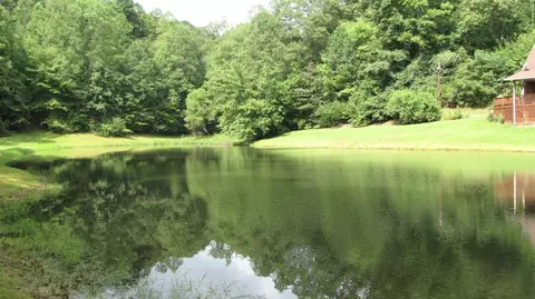3960 Leger Fork Rd, Tyner, KY 40486 photo 20