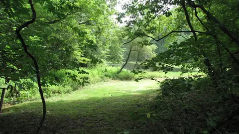 3960 Leger Fork Rd, Tyner, KY 40486 photo 78