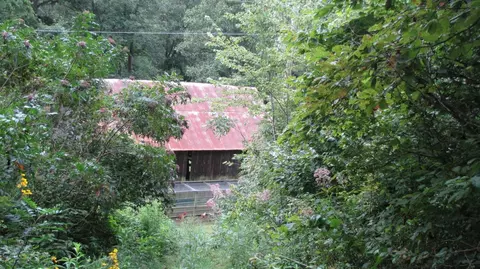 3960 Leger Fork Rd, Tyner, KY 40486 photo 82