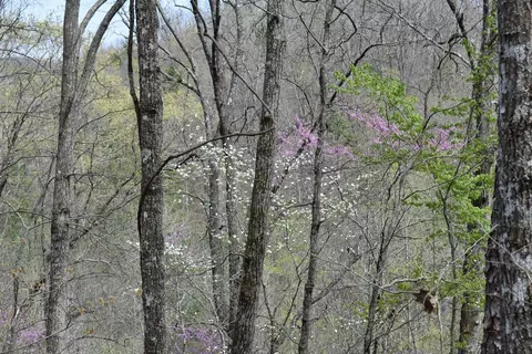 3960 Leger Fork Rd, Tyner, KY 40486 photo 89