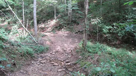 3960 Leger Fork Rd, Tyner, KY 40486 photo 79