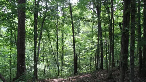 3960 Leger Fork Rd, Tyner, KY 40486 photo 66