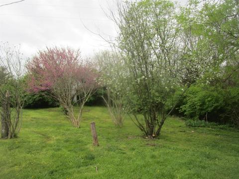 1297 High Bridge Rd, Lancaster, KY 40444 photo 15