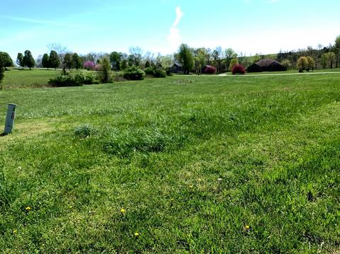 111 Lakeside Dr, Lancaster, KY 40444 photo 4