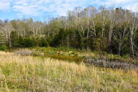800 Stone Rd, Irvine, KY 40336 photo 21