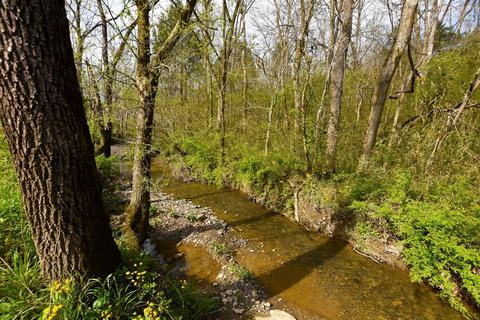 800 Stone Rd, Irvine, KY 40336 photo 17