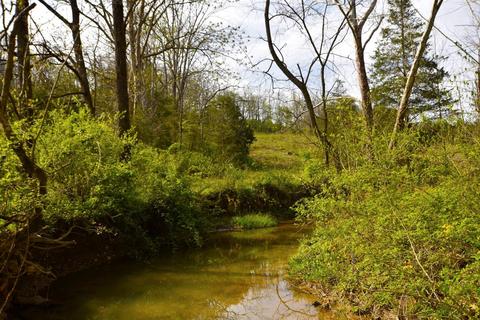800 Stone Rd, Irvine, KY 40336 photo 34