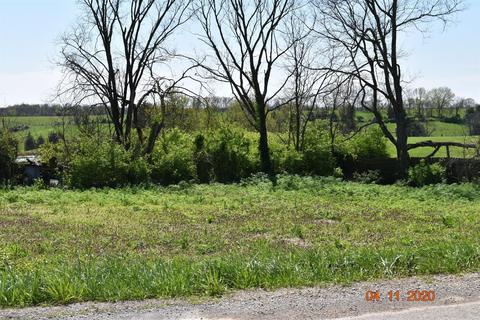 85 Cowan Rd, Ewing, KY 41039 photo 3