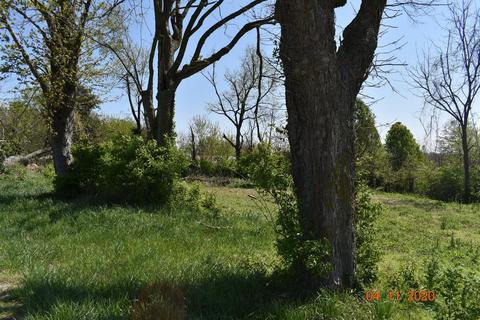 85 Cowan Rd, Ewing, KY 41039 photo 5