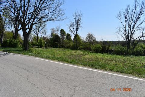 85 Cowan Rd, Ewing, KY 41039 photo 7
