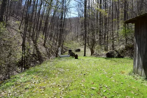 55 Schoolhouse Br, Morehead, KY 40351 photo 7
