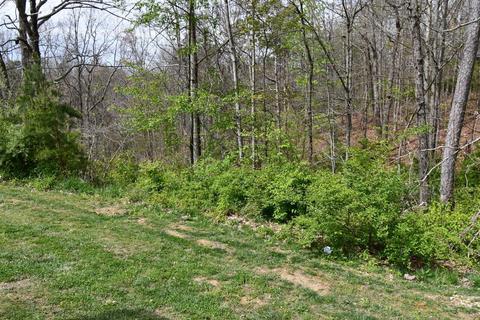 421 Madison View Rd, Berea, KY 40403 photo 11