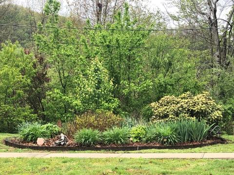 560 Kings Ridge Rd, Jackson, KY 41339 photo 26