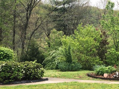 560 Kings Ridge Rd, Jackson, KY 41339 photo 27